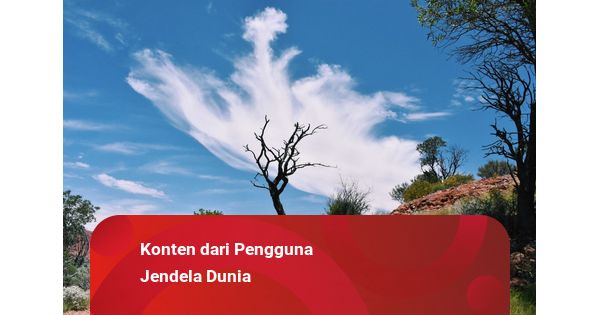 Warung Terdekat (Sordang): Jantung Rasa yang Menghangatkan Jiwa Cilacap