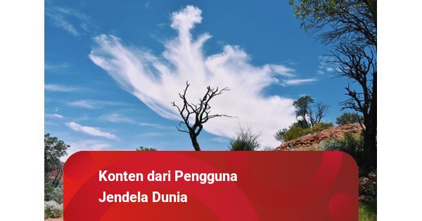 Rasakan Kelezatan Warung Terdekat (Sordang) di Jantung Cilacap